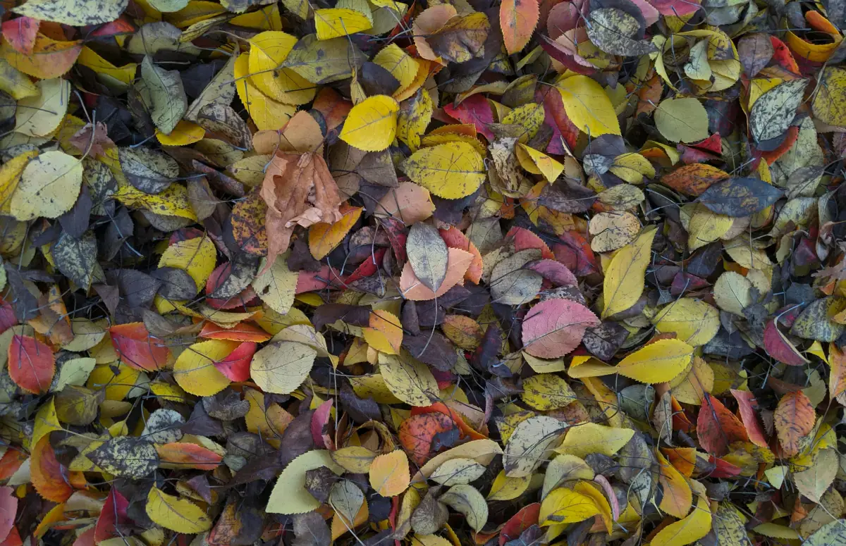 Celebrity examples of true autumn color palette in fashion and styling