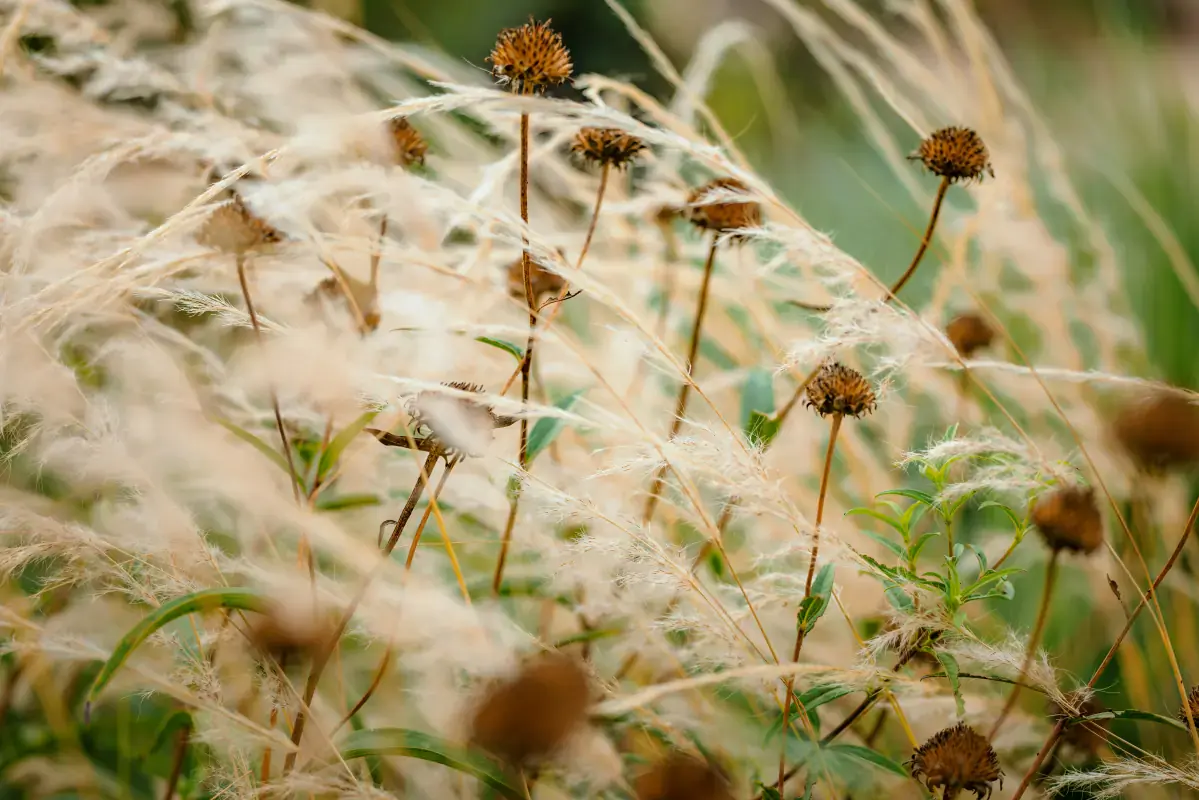 Light summer wardrobe essentials: clothing in cool, delicate tones for seasonal color analysis